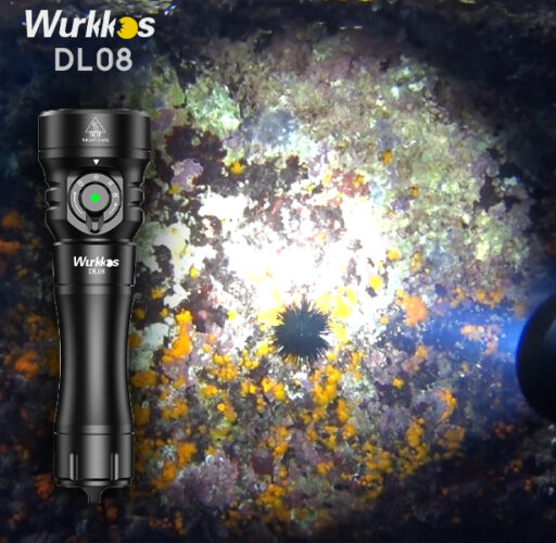 Wurkkos DL08 flashlight
